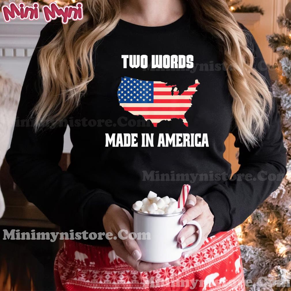 Two Words Made In America Biden Anti Joe US Flag T-Shirt